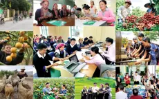 Phát động cuộc thi viết về tín dụng chính sách xã hội