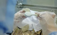 Gia tăng kim ngạch xuất khẩu cho ngành yến sào