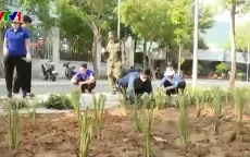 Vườn thuốc nam phủ xanh những bãi rác tại Côn Đảo