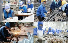 Doanh nghiệp khó tuyển lao động có tay nghề