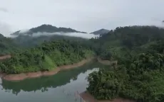 Bảo vệ rừng lim quý vùng biên giới