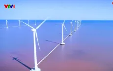 Khám phá cánh đồng điện gió Bạc Liêu