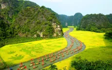 Lượng khách đặt tour dịp lễ 2/9 đã đạt khoảng 70%