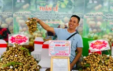 Quảng bá nhãn lồng Hưng Yên tại Hà Nội