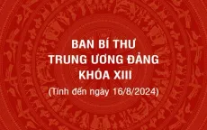 [Infographic] Ban Bí thư Trung ương Đảng khóa XIII