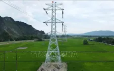 Thanh Hóa: Nước rút trên công trường thi công đường dây 500kV mạch 3