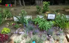 Nhật Bản cải tạo đất trống thành không gian công cộng