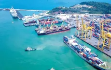 Gần 8.000 container tồn đọng làm giảm năng lực cảng biển Việt Nam