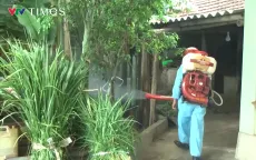 Dịch bệnh sốt xuất huyết xuất hiện tại một số tỉnh bắc miền Trung