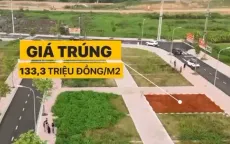 Đất đấu giá cao bất thường: Có sự xuất hiện của hội nhóm đầu cơ