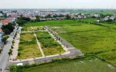 Tránh tâm lý đám đông sau các cuộc đấu giá đất