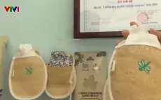 Biến xơ mướp thành những sản phẩm hữu ích