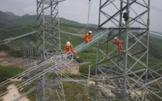 Đường dây 500kV mạch 3: Kỳ tích từ sự đồng lòng