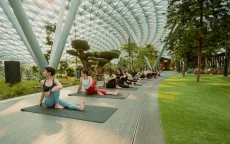 Singapore - Điểm đến lý tưởng về du lịch chăm sóc sức khỏe