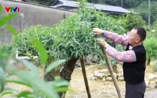Đường về bản của những người từng một thời lầm lỡ