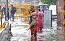 Mưa lớn gây ngập lụt nặng tại New Delhi, Ấn Độ
