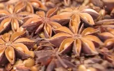 Hoa hồi thu về hàng chục triệu USD xuất khẩu