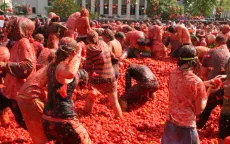Hàng ngàn người tham gia lễ hội ném cà chua tại Tây Ban Nha