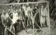 Tư tưởng Hồ Chí Minh về "trồng cây" và "trồng người"