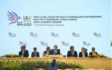 Indonesia tăng cường hợp tác với châu Phi