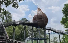 Khám phá khu bảo tồn ngập mặn Sungei Buloh của Singapore