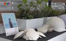 Mũ bảo hiểm tái chế từ vỏ sò