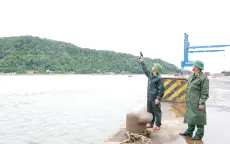Nghệ An triển khai các phương án ứng phó với mưa lũ, sạt lở đất, hồ chứa