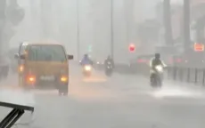 Đông Bắc Bộ mưa lớn trắng trời, nhiều cây xanh ngã đổ