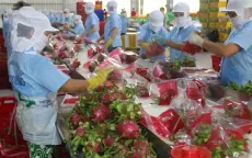 Trái cây Việt Nam chinh phục nhiều thị trường