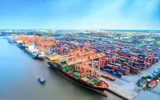 Không “bó cứng” quy hoạch chi tiết nhóm cảng biển, bến cảng
