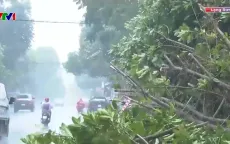 Ảnh hưởng bão số 3, Lạng Sơn có 3 người bị thương, 321 hộ bị thiệt hại nhà ở