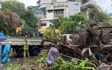 Chiều 7/9, Đông Bắc Bộ và Thủ đô Hà Nội có gió rất mạnh