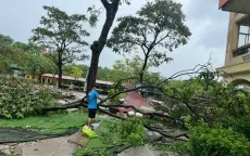 Hà Nội: Chưa cho học sinh đến trường nếu chưa đảm bảo an toàn