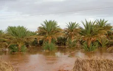 Lũ lụt nghiêm trọng ở Morocco khiến ít nhất 11 người thiệt mạng