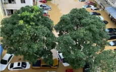 Ô tô gặp sự cố do bão gây ra được bồi thường như thế nào?
