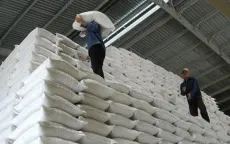 Cục Dự trữ Nhà nước sẵn sàng xuất cấp hàng cứu hộ, cứu nạn