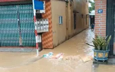 Phú Thọ: Nhiều nơi trên địa bàn huyện Hạ Hòa chìm trong nước