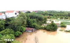 Hưng Yên phát lệnh báo động 2 trên tuyến đê tả sông Hồng