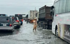 Cao tốc Pháp Vân - Cầu Giẽ lại ngập sâu, phương tiện hạn chế đi qua