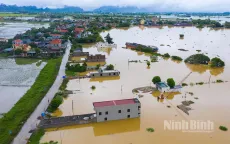 Ninh Bình phát lệnh di dân vùng phân lũ, chậm lũ huyện Gia Viễn và Nho Quan