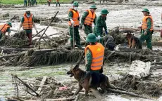 650 người, chó nghiệp vụ tìm kiếm 52 nạn nhân mất tích ở Làng Nủ