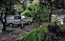 Bảo hiểm bồi thường 7.000 tỷ đồng thiệt hại do bão số 3