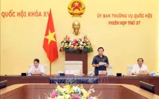 Phát hiện nhiều phương thức, thủ đoạn mới của tội phạm kinh tế, tham nhũng, buôn lậu