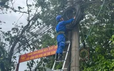 Cơ bản khôi phục mạng viễn thông các tỉnh phía Bắc