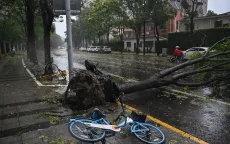 Bão Bebinca mạnh nhất 7 thập kỷ đổ bộ Thượng Hải, sức tàn phá không kém bão Yagi