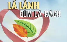 Tinh thần tương thân tương ái trong bão lũ: Thiêng liêng hai tiếng đồng bào