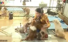 Người mẹ của trạm cứu hộ 400 bé chó, mèo