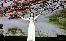 Ấm áp đêm nhạc "Nghĩa tình phương Nam" hướng về đồng bào vùng bão lũ