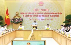 Ngân hàng tư nhân hiến kế tăng trưởng tín dụng an toàn