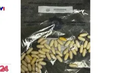 Nam Phi bắt nghi phạm vận chuyển cocaine trong dạ dày